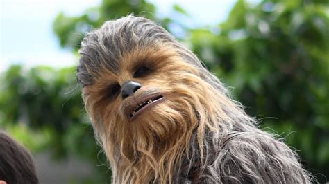 chewbacca wookiee|what is chewbacca's last name.